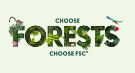 FSC® FOREST WEEK 2022. Vi FEJRER HELE VERDEN SKOVENE 